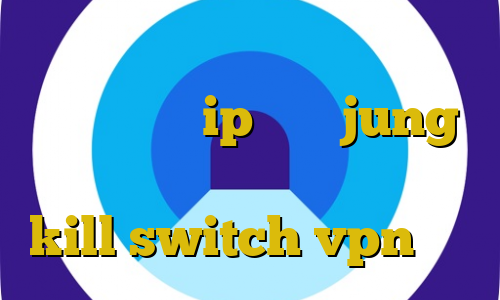کانکشن هوشمند توربو سرویس کاهش پینگ خارجی ip ثابت jung طریقه استفاده از فیلترشکن گوگل kill switch vpn چیست