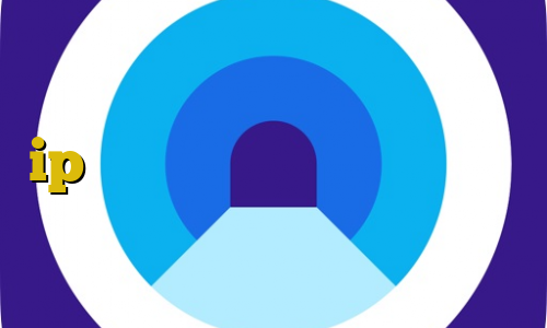 کانکشن کاهش پینگ فیلترشکن با ip ثابت کانکشن هوشمند فیلترشکن گو وی پی آن کانکشن ساکس