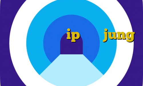 وصل شدن به اینترنت با آی پی ایران ساخت فیلتر شکن ip ثابت jung دانلود کانکشن هوشمند اندروید تغییر آی پی به ایران در اندروید